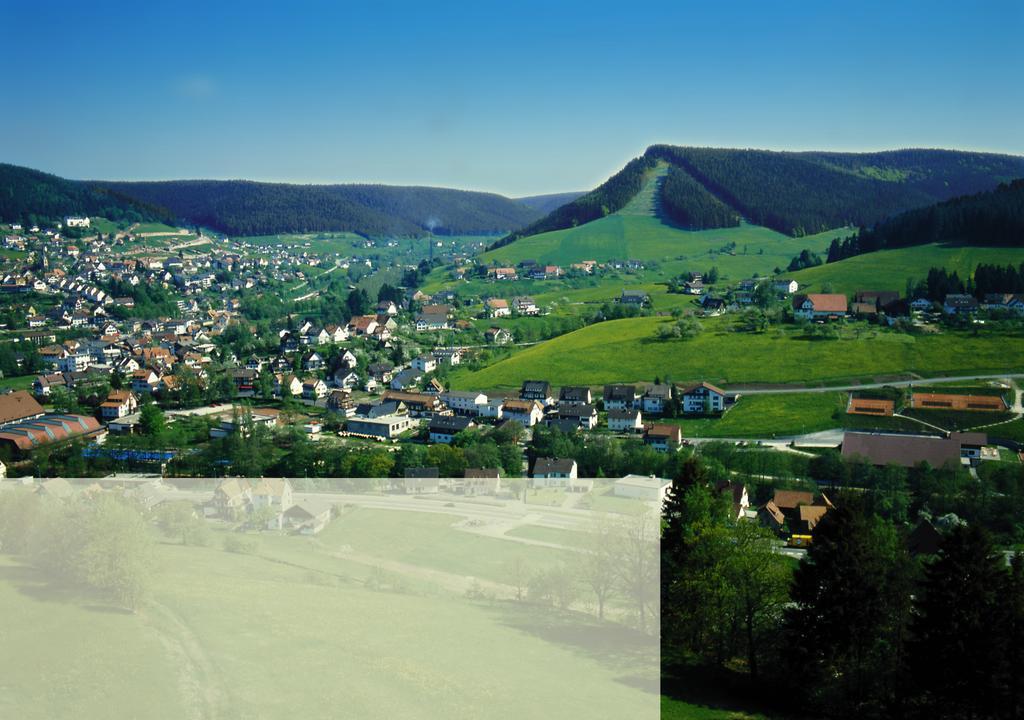 Haus Bergwiese Baiersbronn Exteriér fotografie