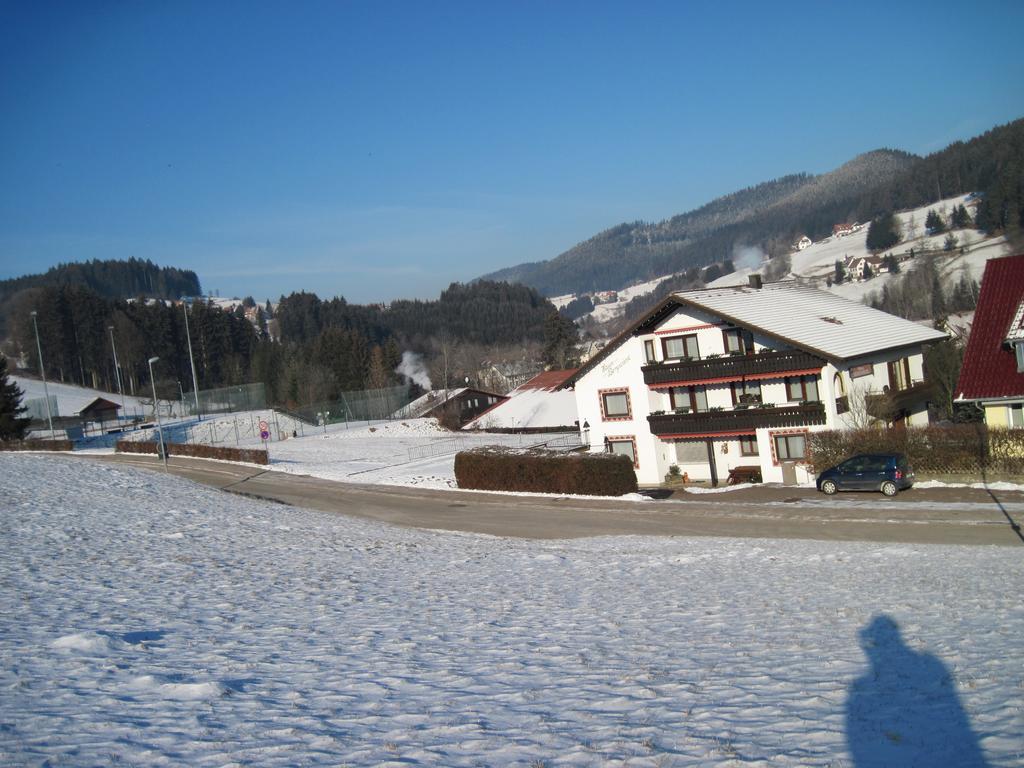 Haus Bergwiese Baiersbronn Exteriér fotografie