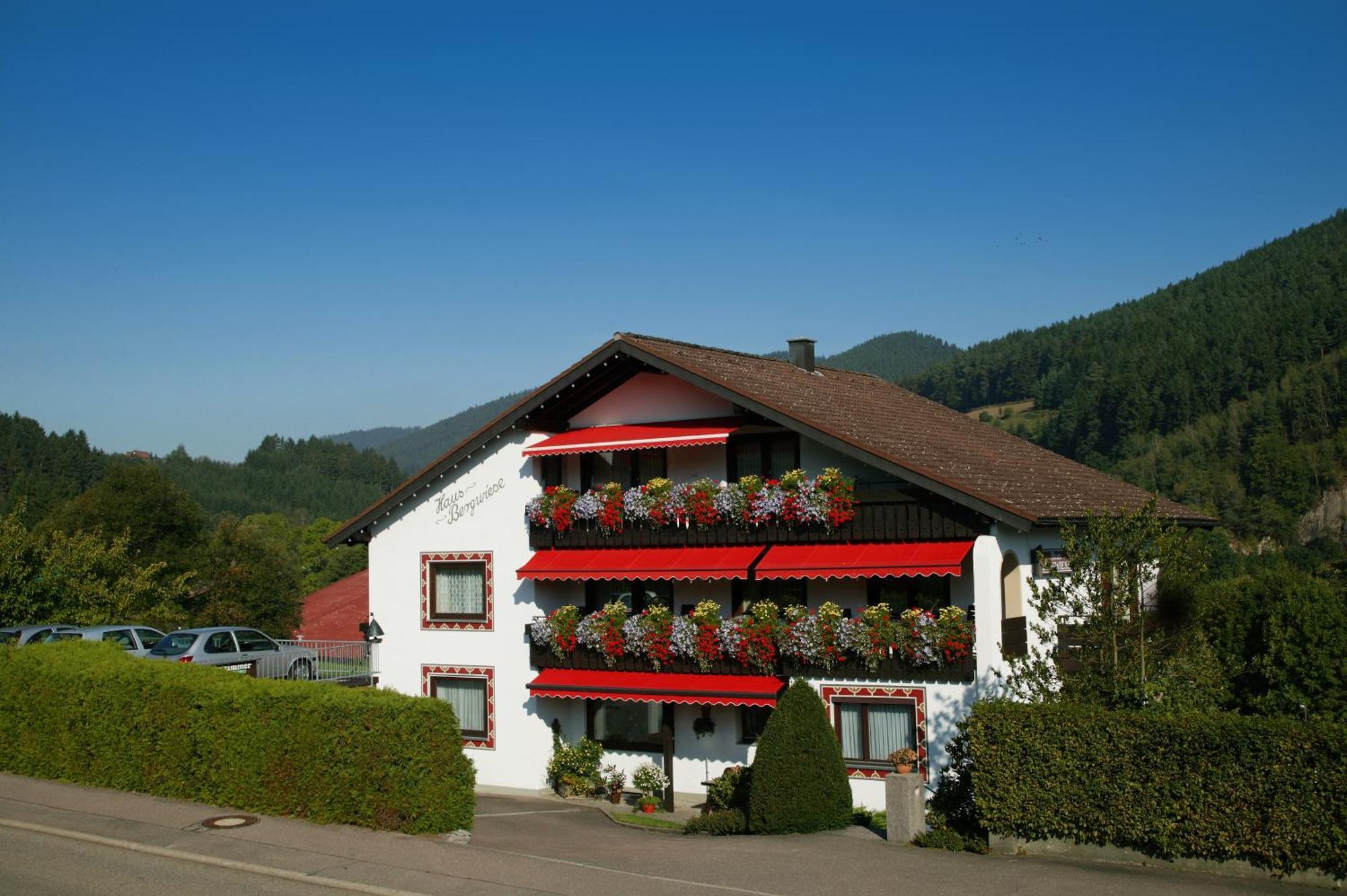 Haus Bergwiese Baiersbronn Exteriér fotografie